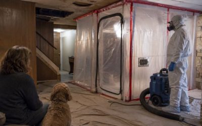 Can You Stay Home During Asbestos Removal? When to Leave and When It’s Safe